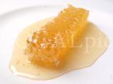 Food 36