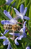 Natur 1