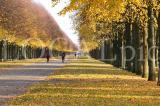Herbst 7
