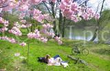 Natur 18