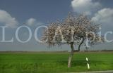 Natur 20