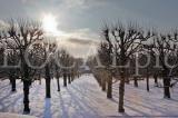 Herrenhausen-248