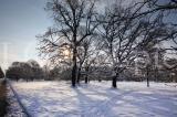 Winter 22
