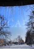 Winter 31