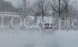 Winter 41