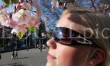 Wetter 311