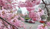 Wetter 313