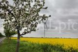 Fr�hling 05